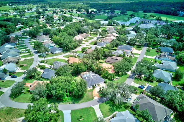 a view of a garden with plants