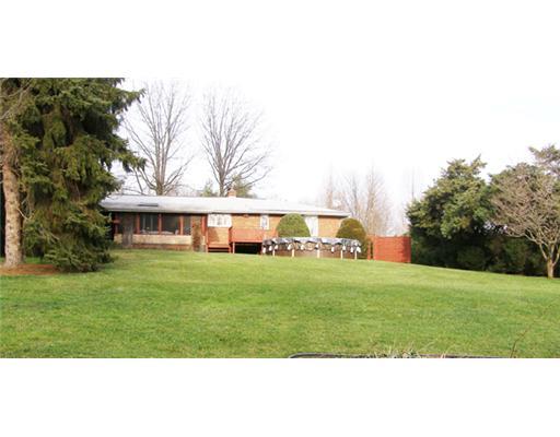 111 Laurel Road Big Beaver, PA 16115 - Photo 10 of 11 Exterior Back. The rear lawn is bounded by mature pines a raised garden, grape arbors and a small stream.