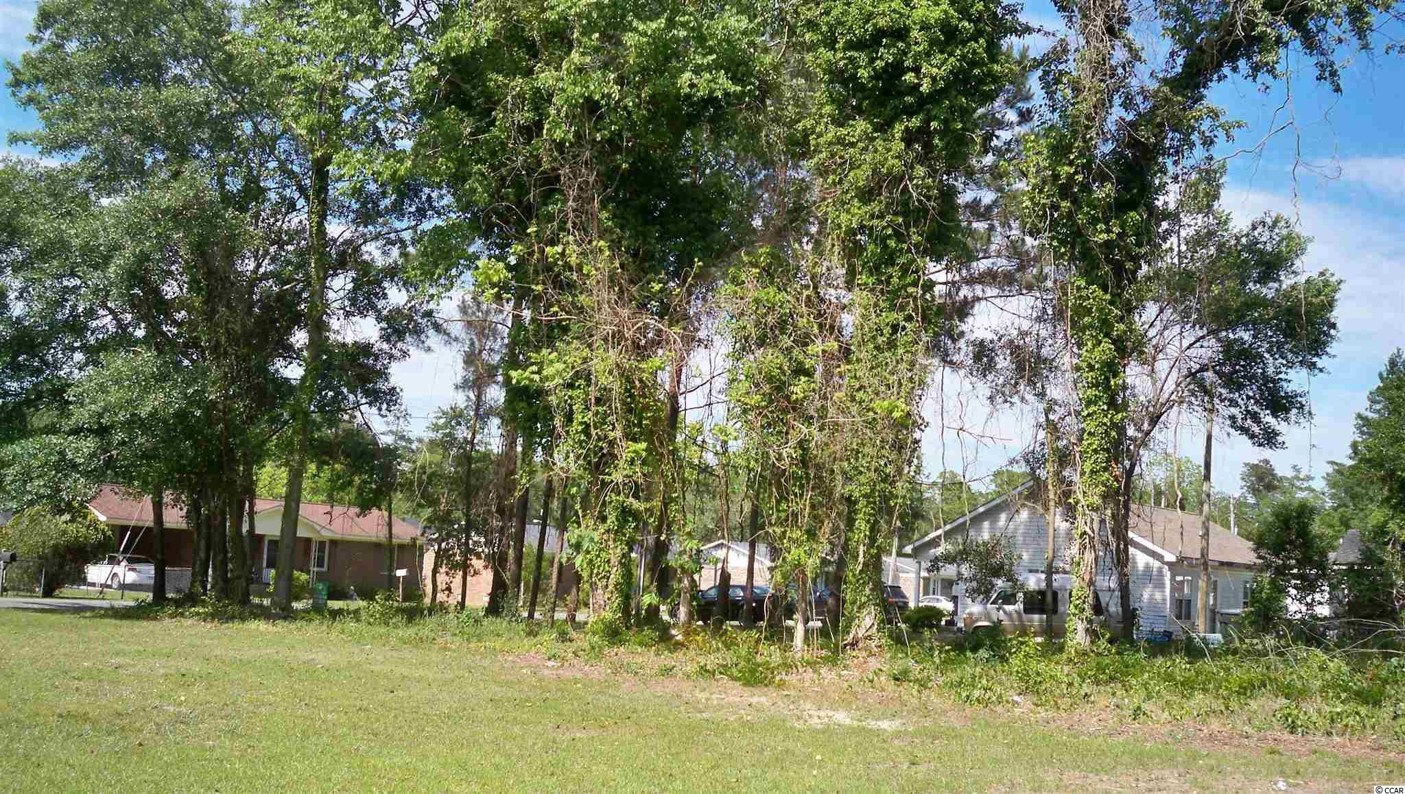 6-ave Gene Street Conway, SC 29526 - Photo 2 of 17 Gallery Image 2