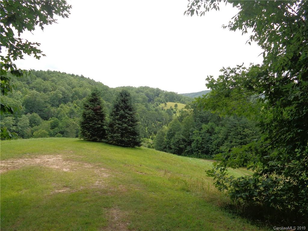 1221 Shoal Creek Road Balsam Grove, NC 28708 - Photo 14 of 17 Gallery Image 14