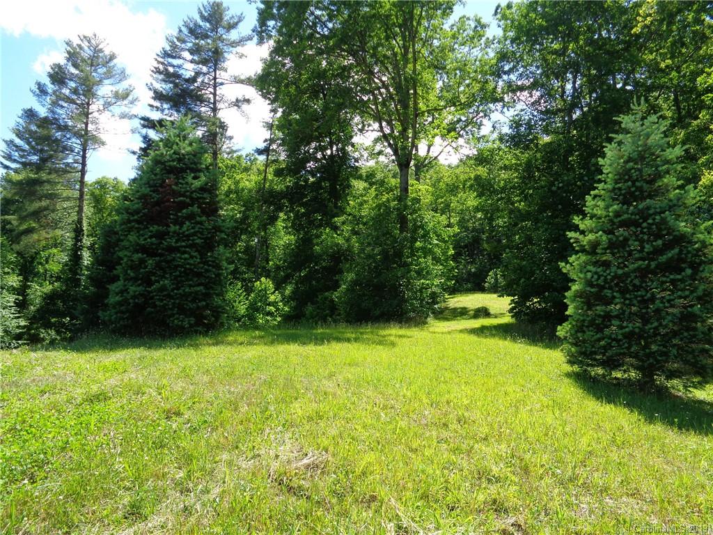 1221 Shoal Creek Road Balsam Grove, NC 28708 - Photo 10 of 17 Gallery Image 10