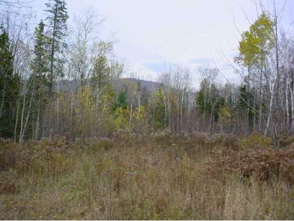 Lot 1 Pond Hill Road Lunenburg, VT 05906 - Photo 1 of 1 Gallery Image 1