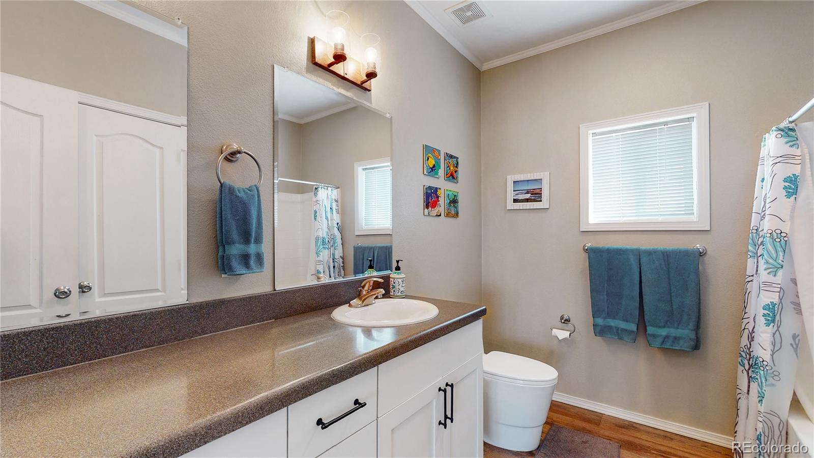 4038 Meadowlark Road Fort Lupton, CO 80621 - Photo 17 of 40 a bathroom with a sink a toilet and a mirror
