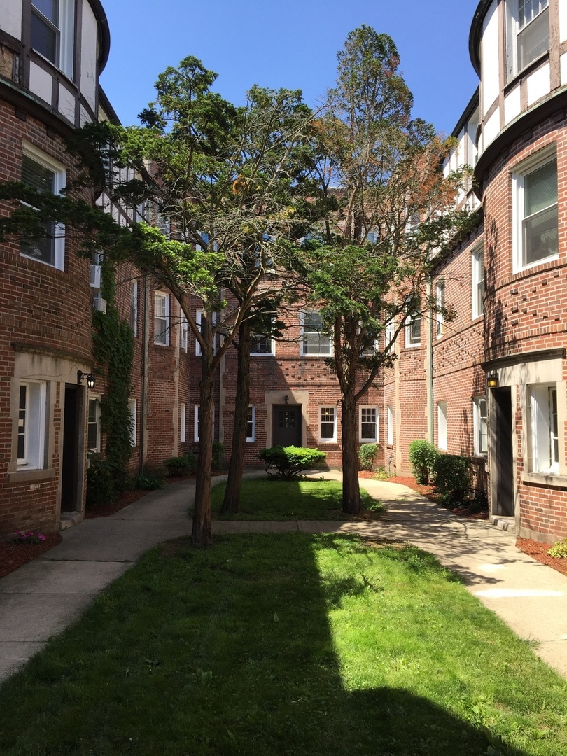 918 Green Bay Road, Unit 3J Winnetka, IL 60093 - Photo 1 of 14 a tree in front of a brick building with large trees