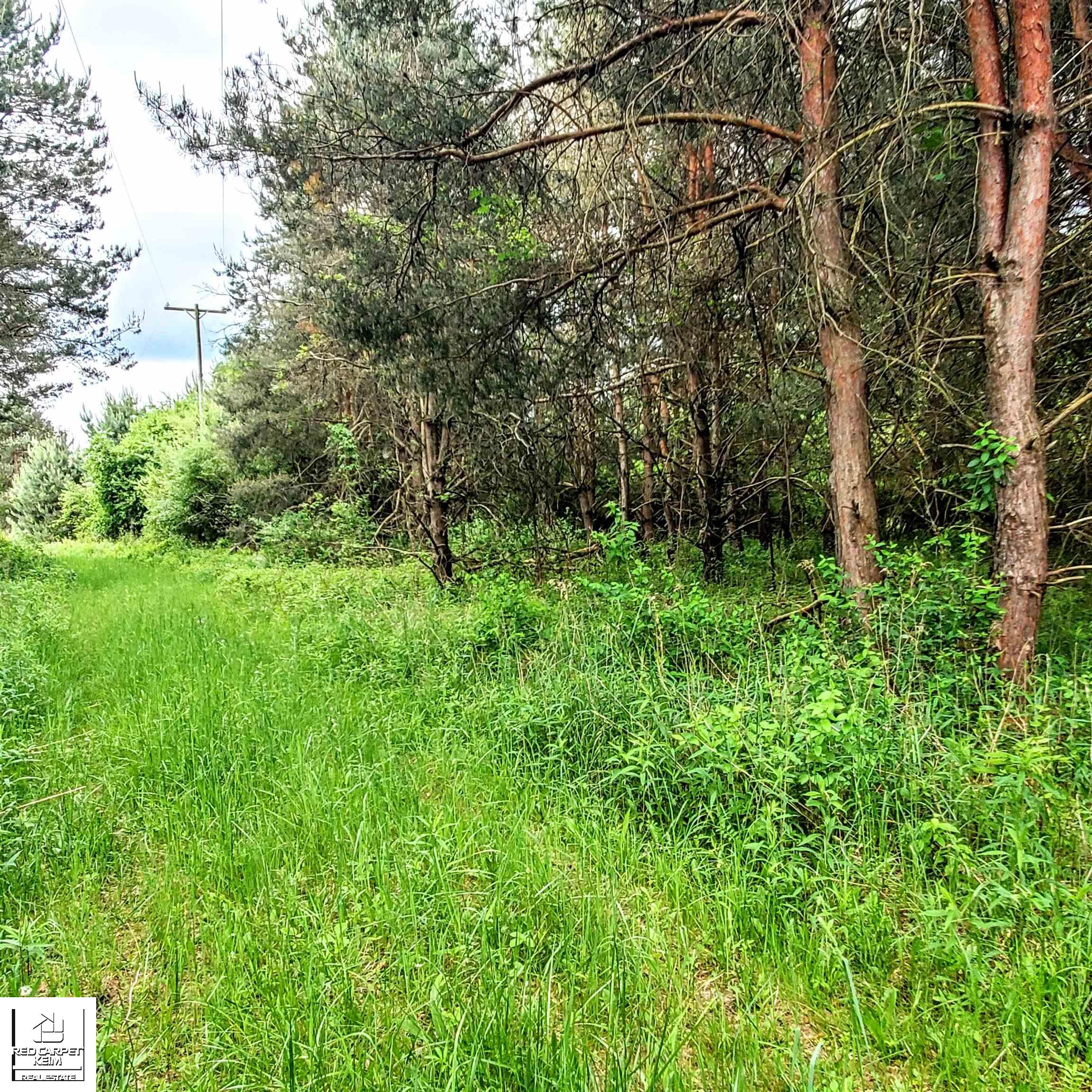4441 West Willard Road Birch Run, MI 48415 - Photo 21 of 40 Gallery Image 21