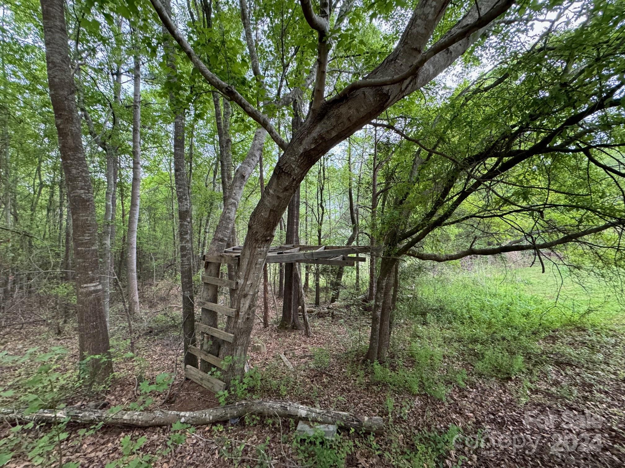 552 Old Grove Road Ellenboro, NC 28040 - Photo 29 of 37 Gallery Image 29