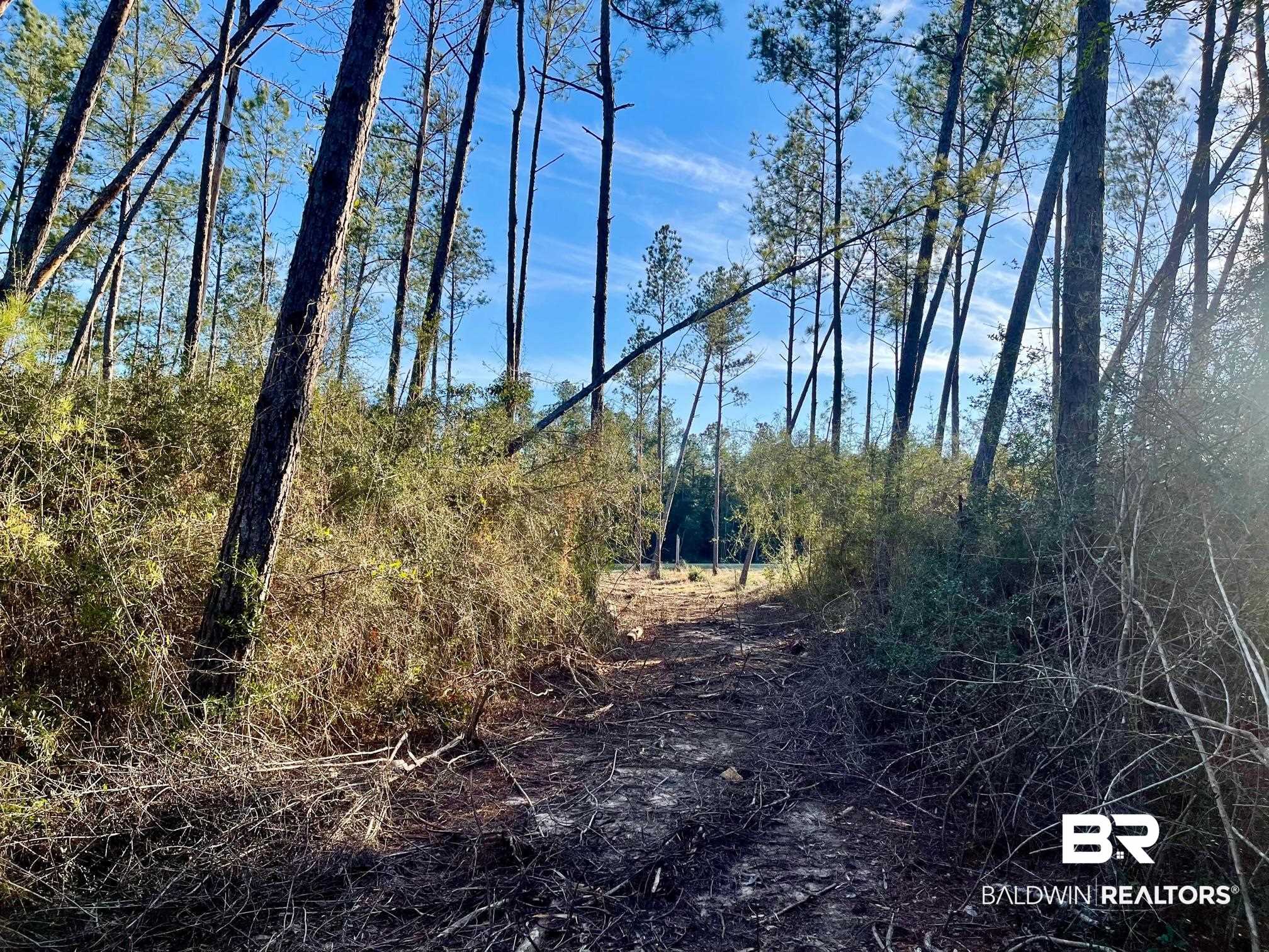 30147 Gardner Road Elberta, AL 36530 - Photo 22 of 28