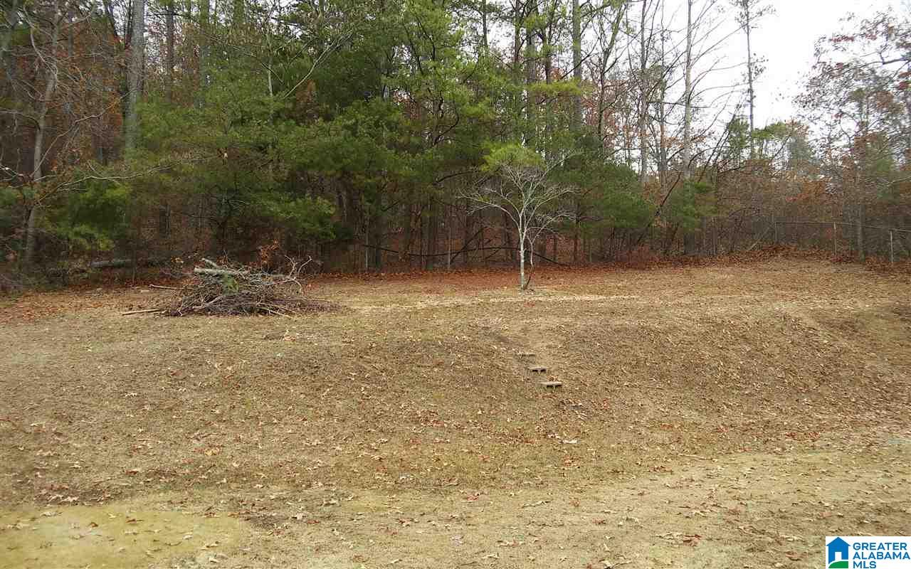 14 Hickory Circle Oneonta, AL 35121 - Photo 20 of 22