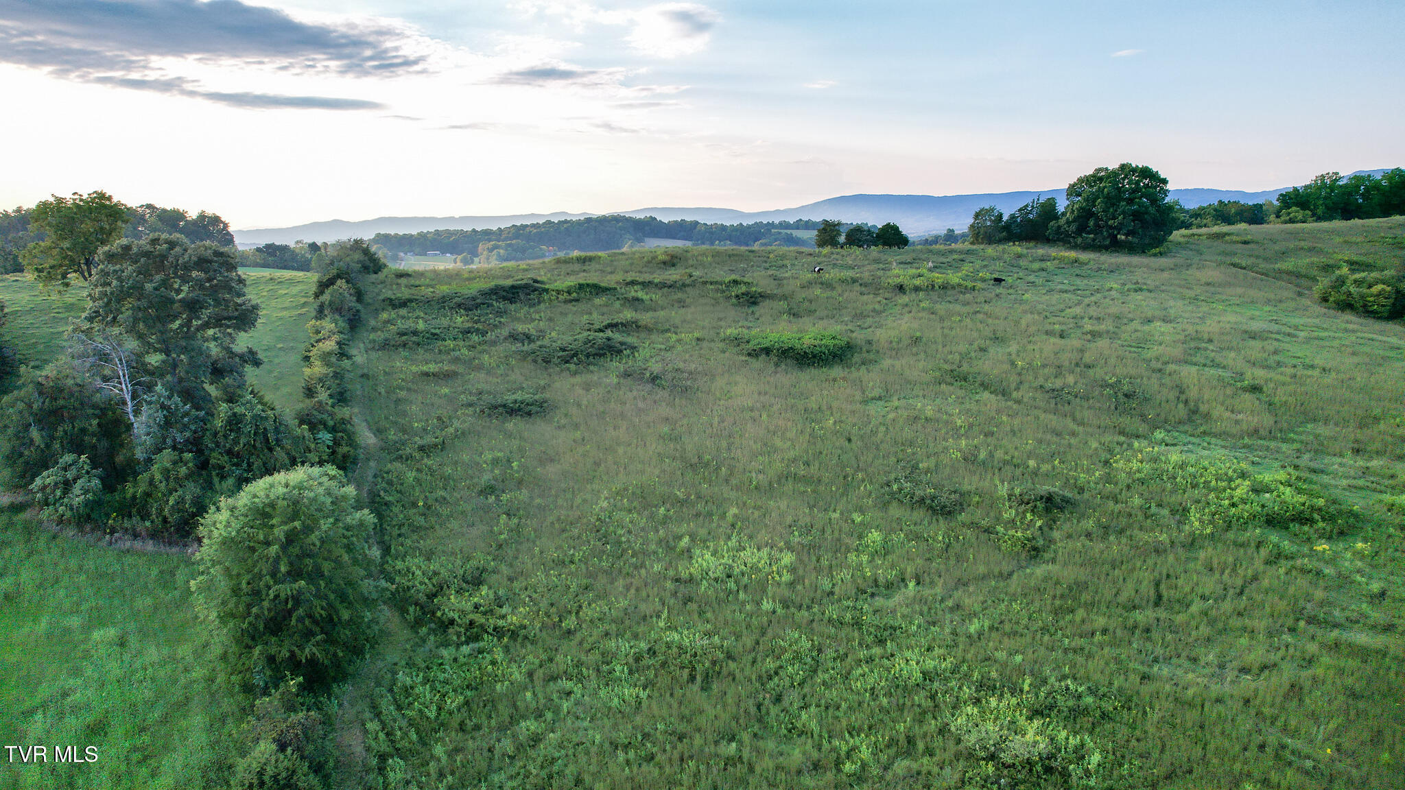 Lot 3 Morrison Road, Unit 3 Chuckey, TN 37641 - Photo 10 of 22 9