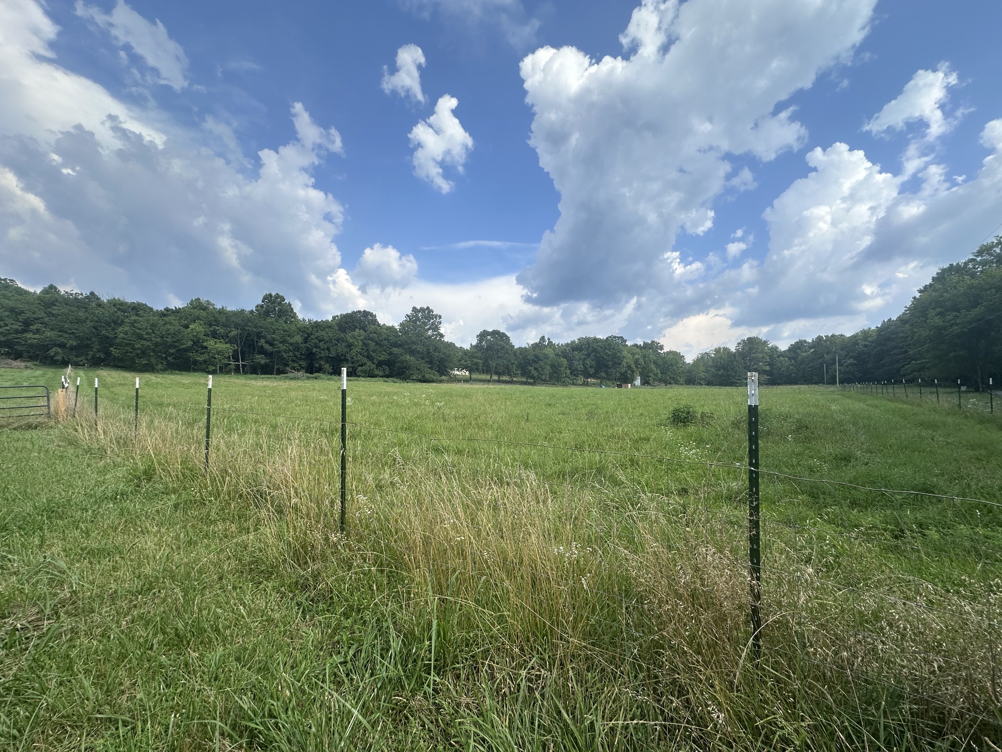0 Lick Creek Road Dover, TN 37058 - Photo 3 of 14