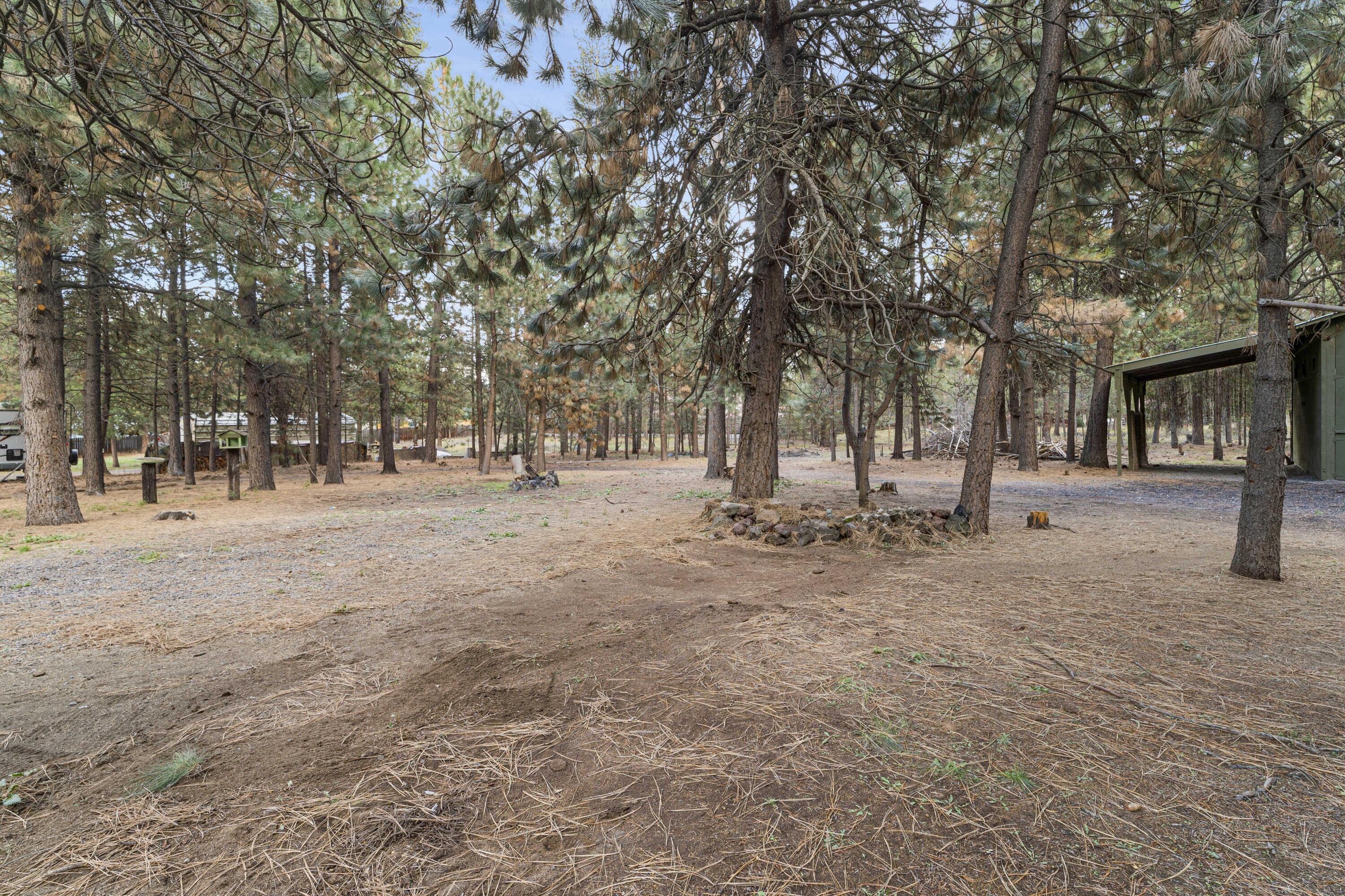15969 Green Forest Road La Pine, OR 97739 - Photo 23 of 26 Backyard
