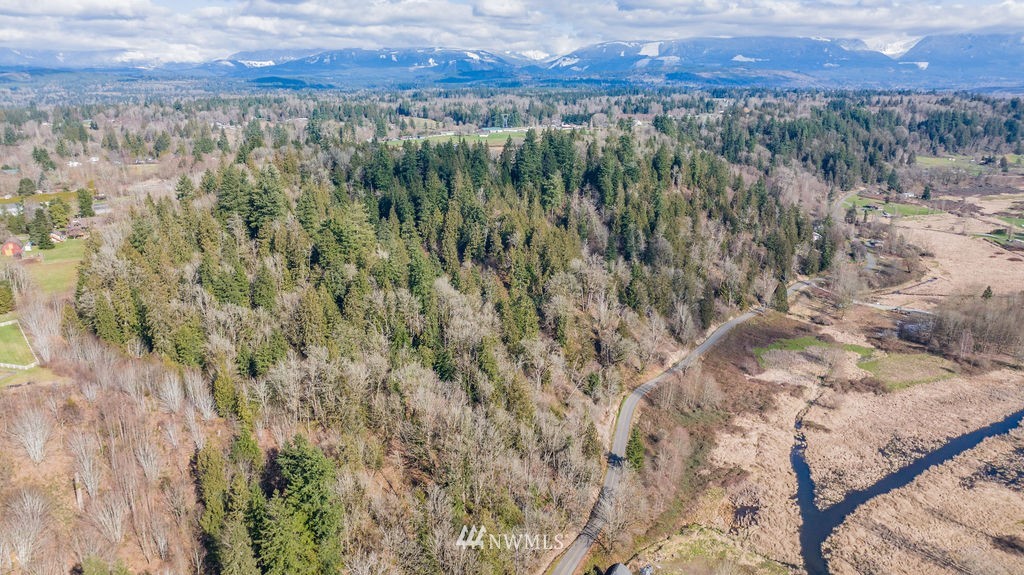 26224 Fern Bluff Road Monroe, WA 98272 - Photo 13 of 27 a view of a forest with a lush green forest