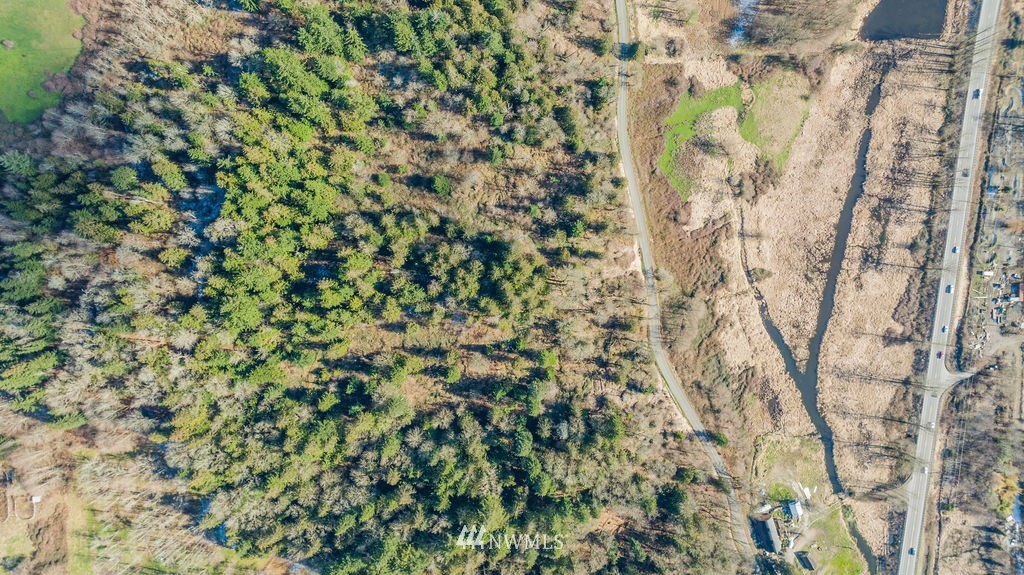 26224 Fern Bluff Road Monroe, WA 98272 - Photo 15 of 27 a view of a yard with a tall tree