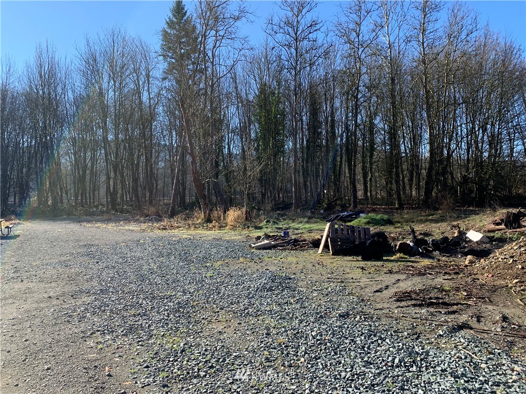 26224 Fern Bluff Road Monroe, WA 98272 - Photo 26 of 27 a view of outdoor space with trees