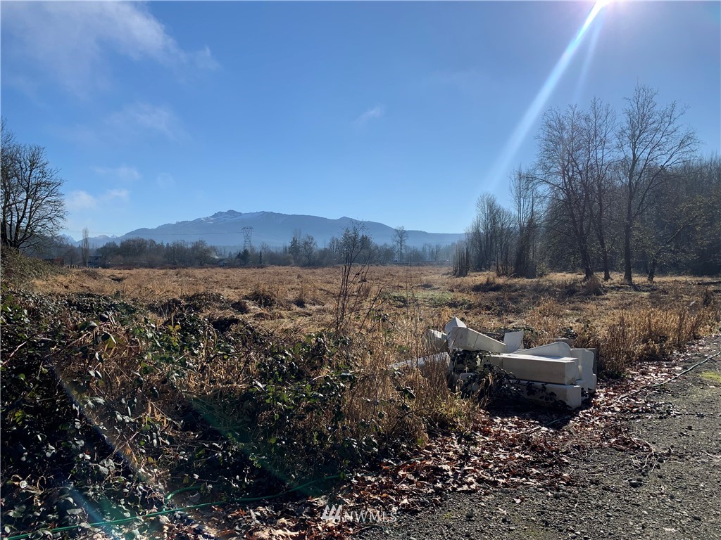 26224 Fern Bluff Road Monroe, WA 98272 - Photo 27 of 27 a view of a back yard with green space