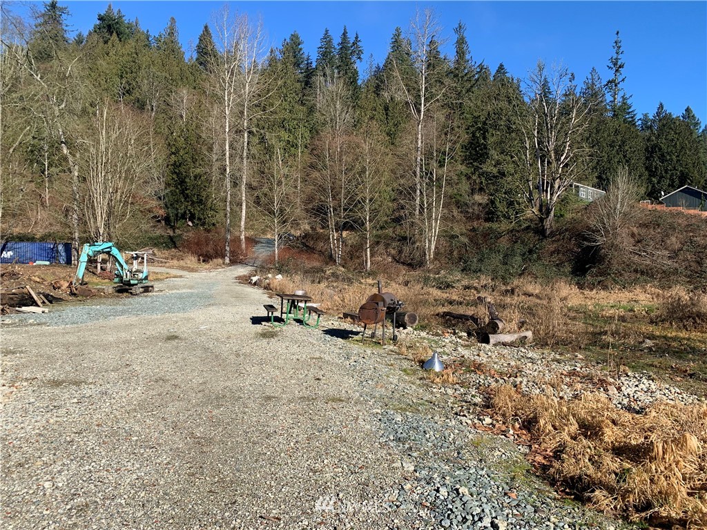 26224 Fern Bluff Road Monroe, WA 98272 - Photo 3 of 27 a view of a park with large trees