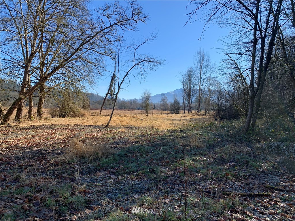 26224 Fern Bluff Road Monroe, WA 98272 - Photo 4 of 27 a view of dirt yard with a large tree