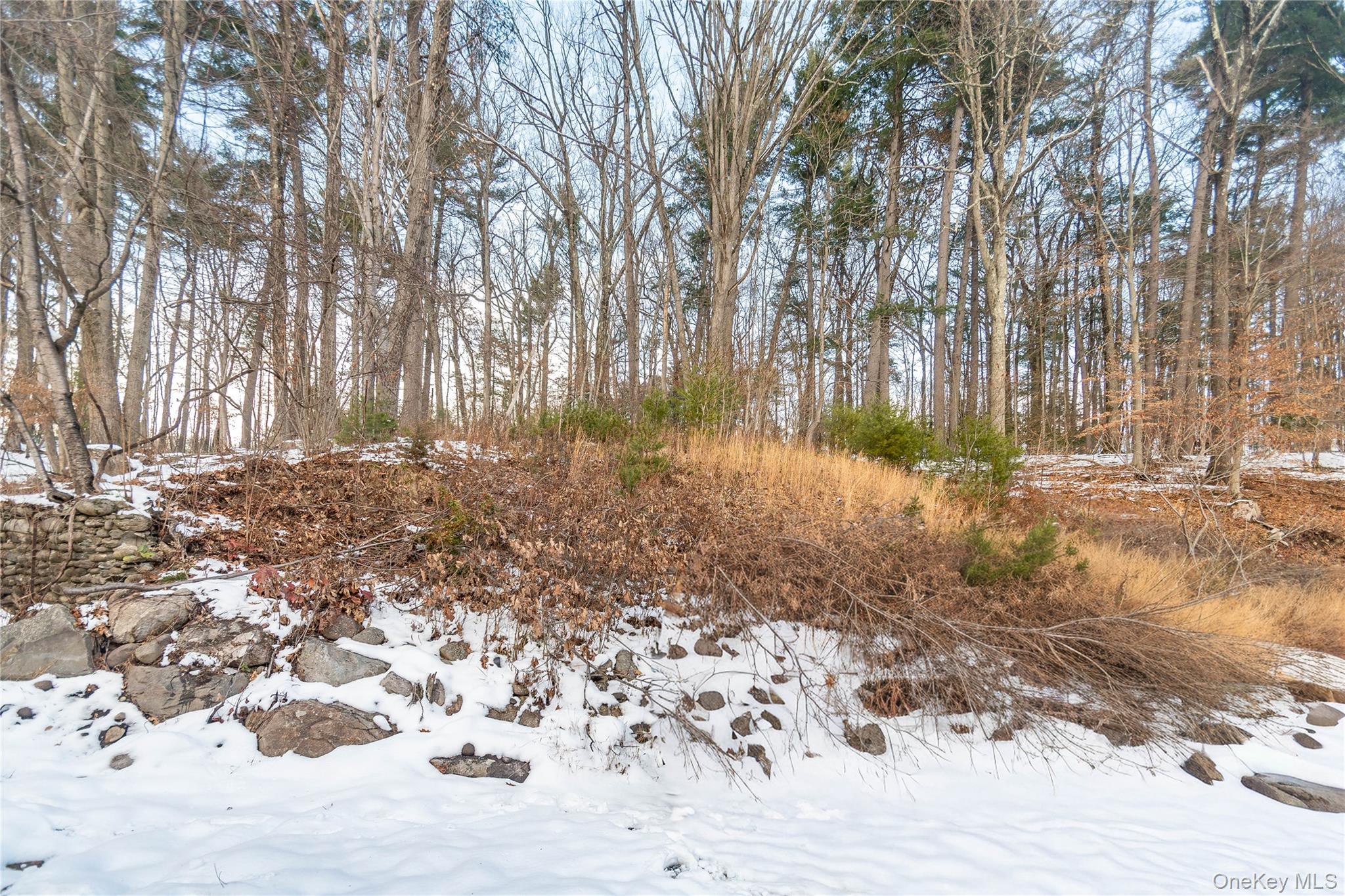 112 State Rte 55 Napanoch, NY 12458 - Photo 39 of 42 a view of a yard with a tree