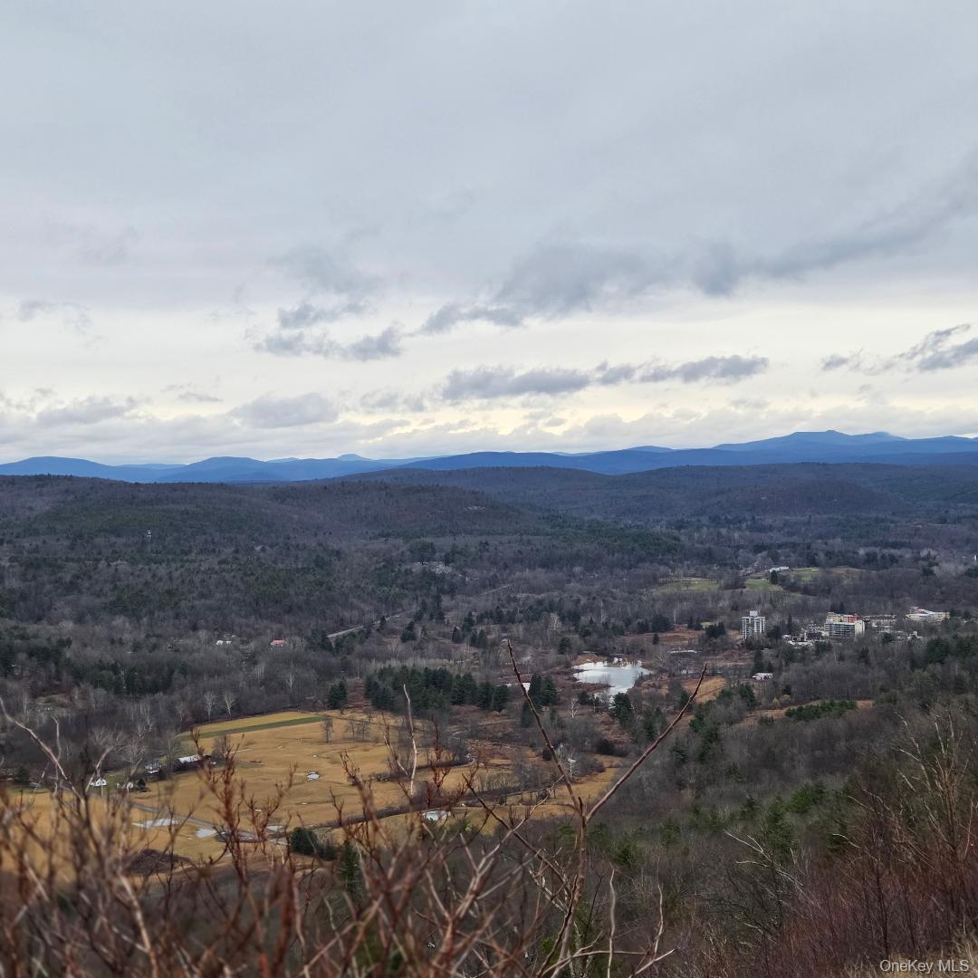 112 State Rte 55 Napanoch, NY 12458 - Photo 41 of 42 a view of city and mountain