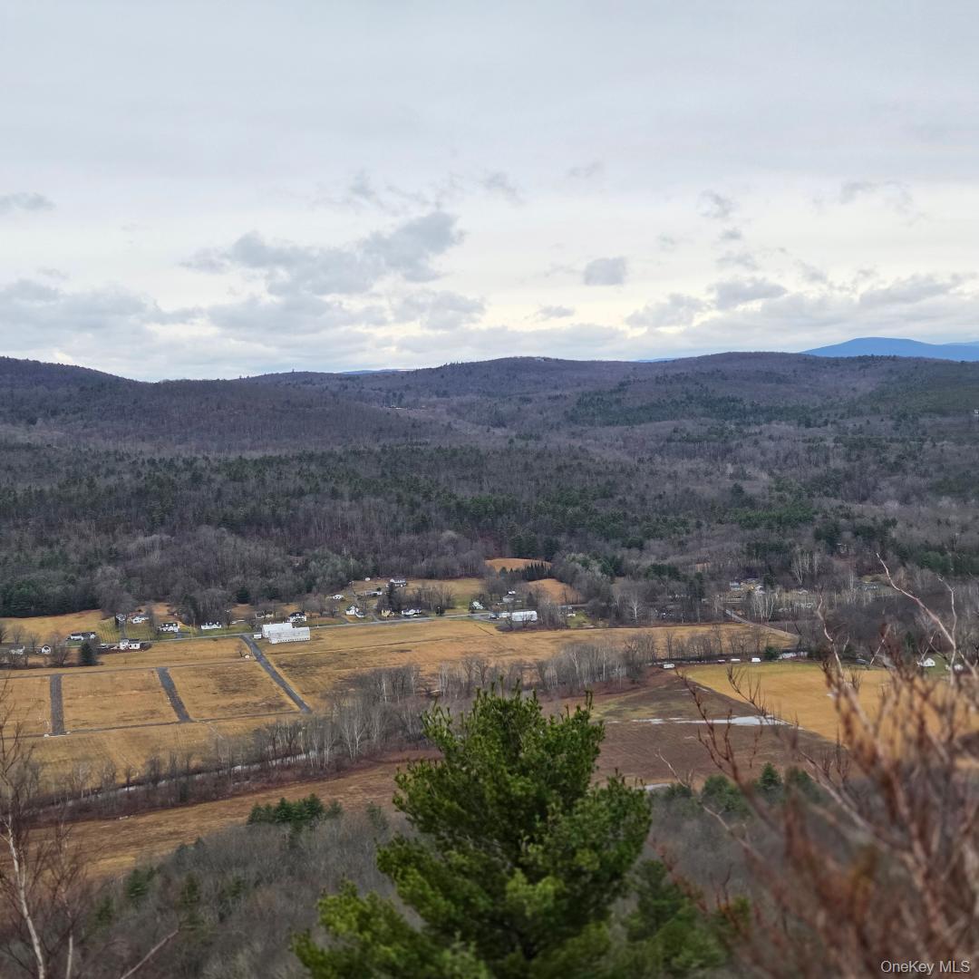 112 State Rte 55 Napanoch, NY 12458 - Photo 42 of 42