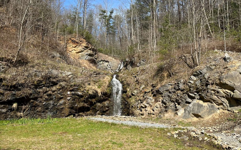 Lot 120 Royal View Landing Murphy, NC 28906 - Photo 2 of 3 5 Acre Common Area