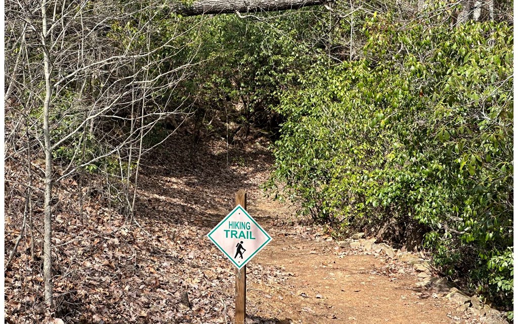 Lot 120 Royal View Landing Murphy, NC 28906 - Photo 3 of 3 Hiking Trails Throughout Community