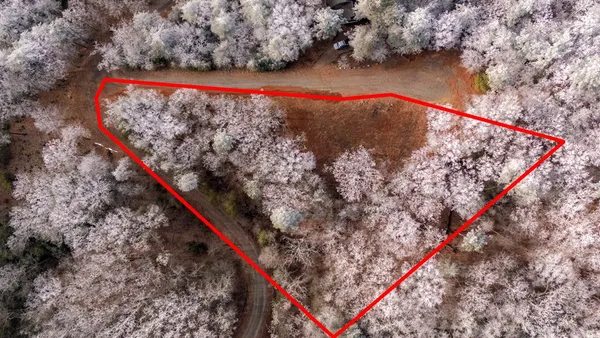 a view of a forest