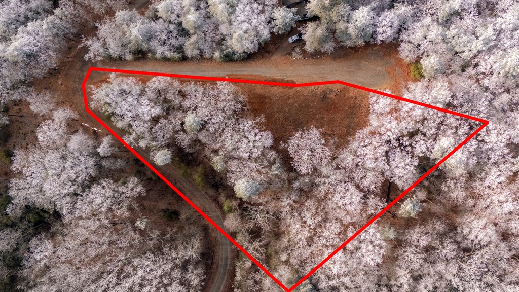 Lot 120 Royal View Landing Murphy, NC 28906 - Photo 5 of 13 Aerial View with Estimated Lot Lines