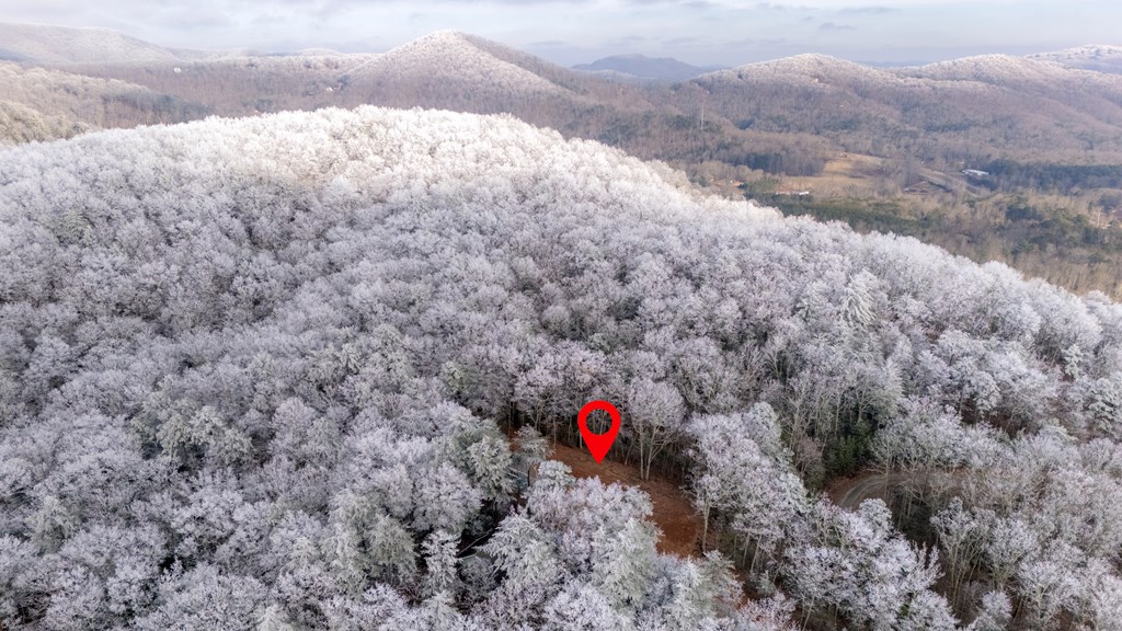 Lot 120 Royal View Landing Murphy, NC 28906 - Photo 6 of 13 Aerial View with Estimated Lot Lines