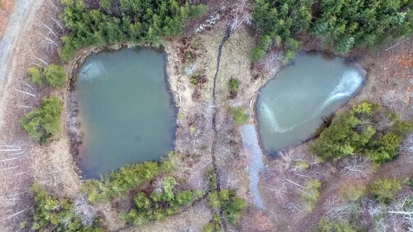 a view of a yard covered in snow