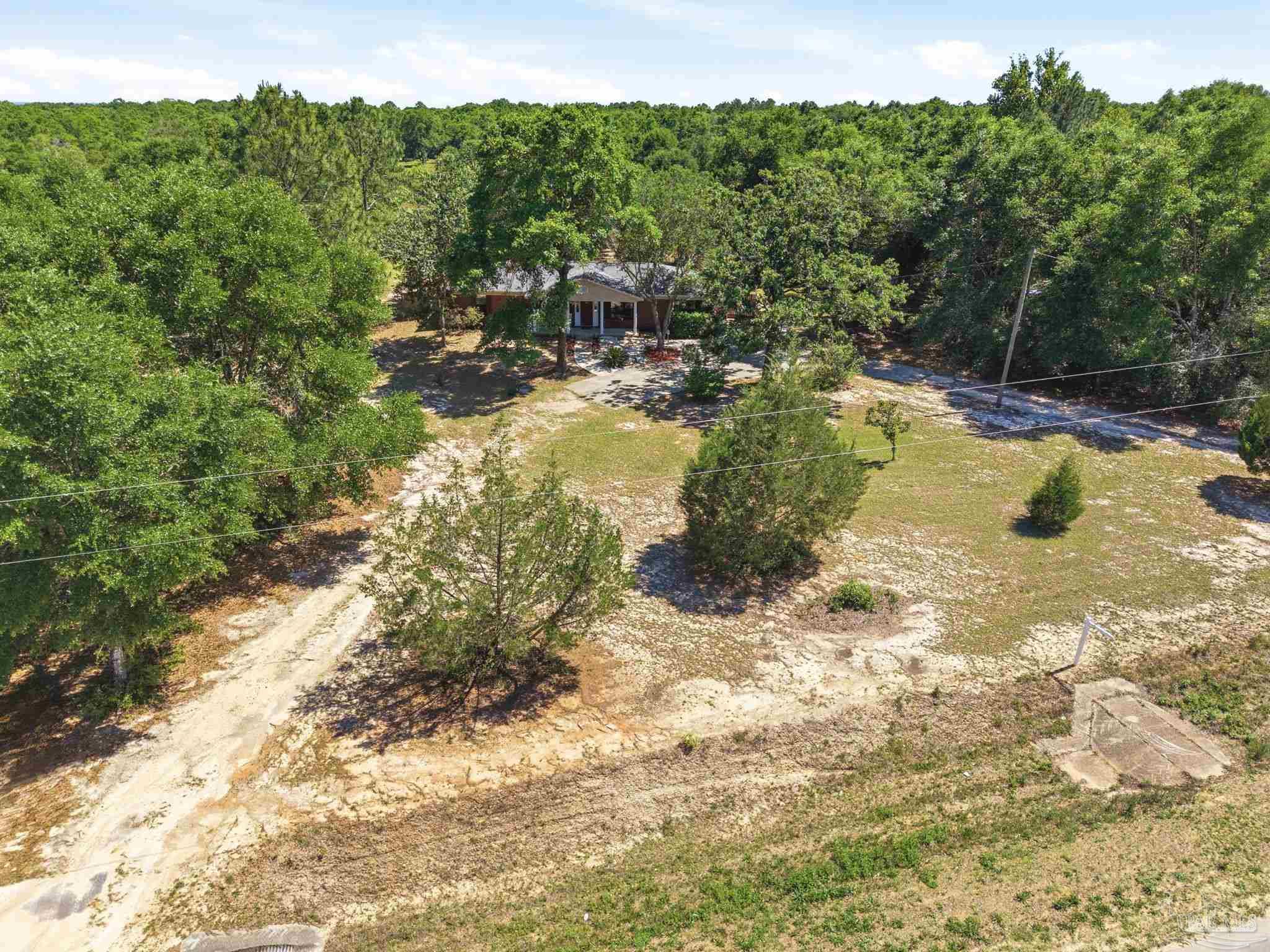 5121 Keyser Mill Road Baker, FL 32531 - Photo 33 of 52 a view of a yard with trees