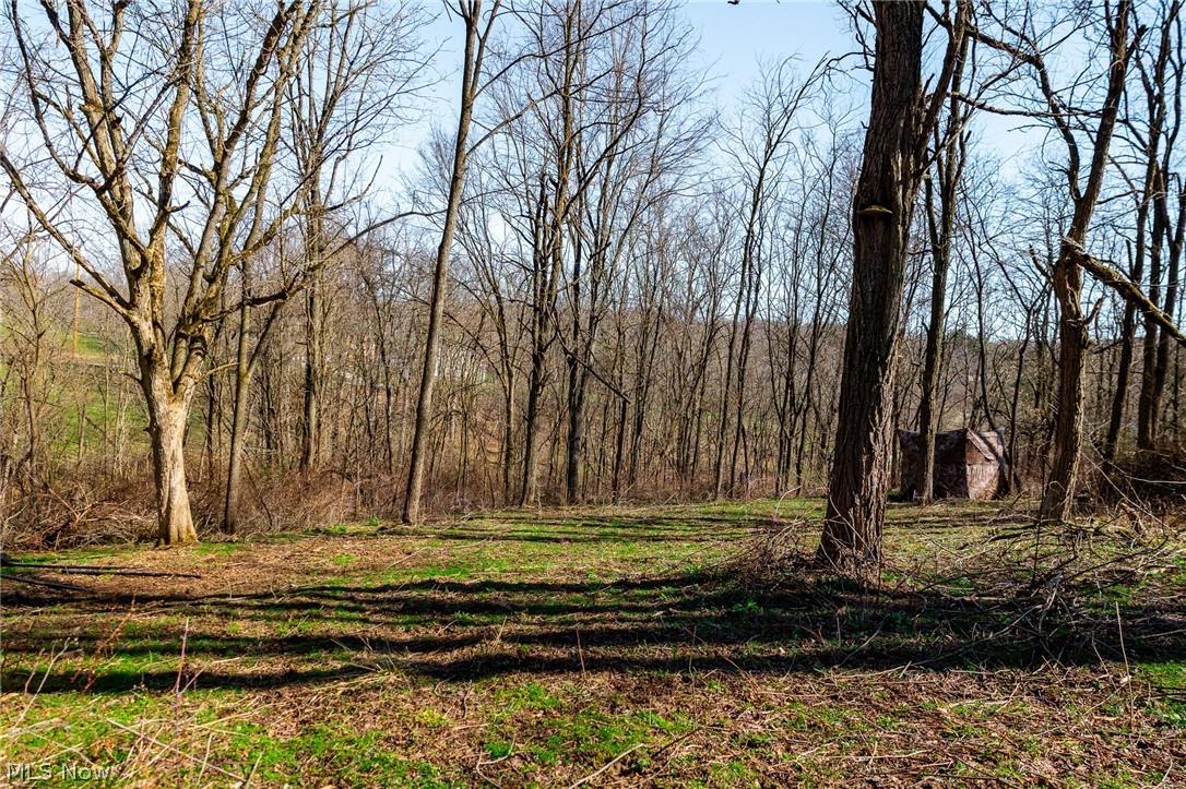 135 Township Road Adena, OH 43901 - Photo 14 of 47