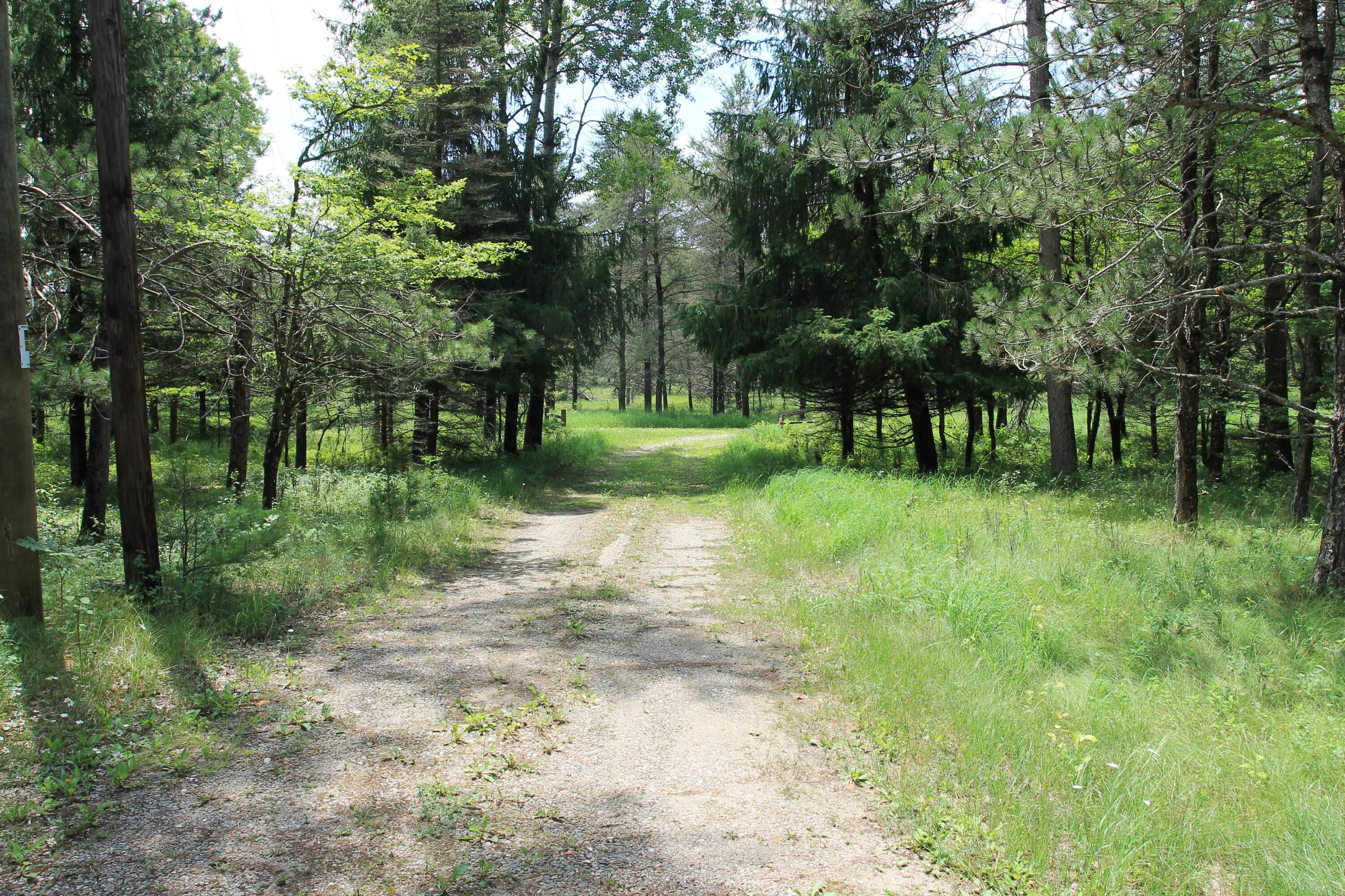 56 South Wye Bend Road Grayling, MI 49738 - Photo 67 of 71 Gallery Image 67