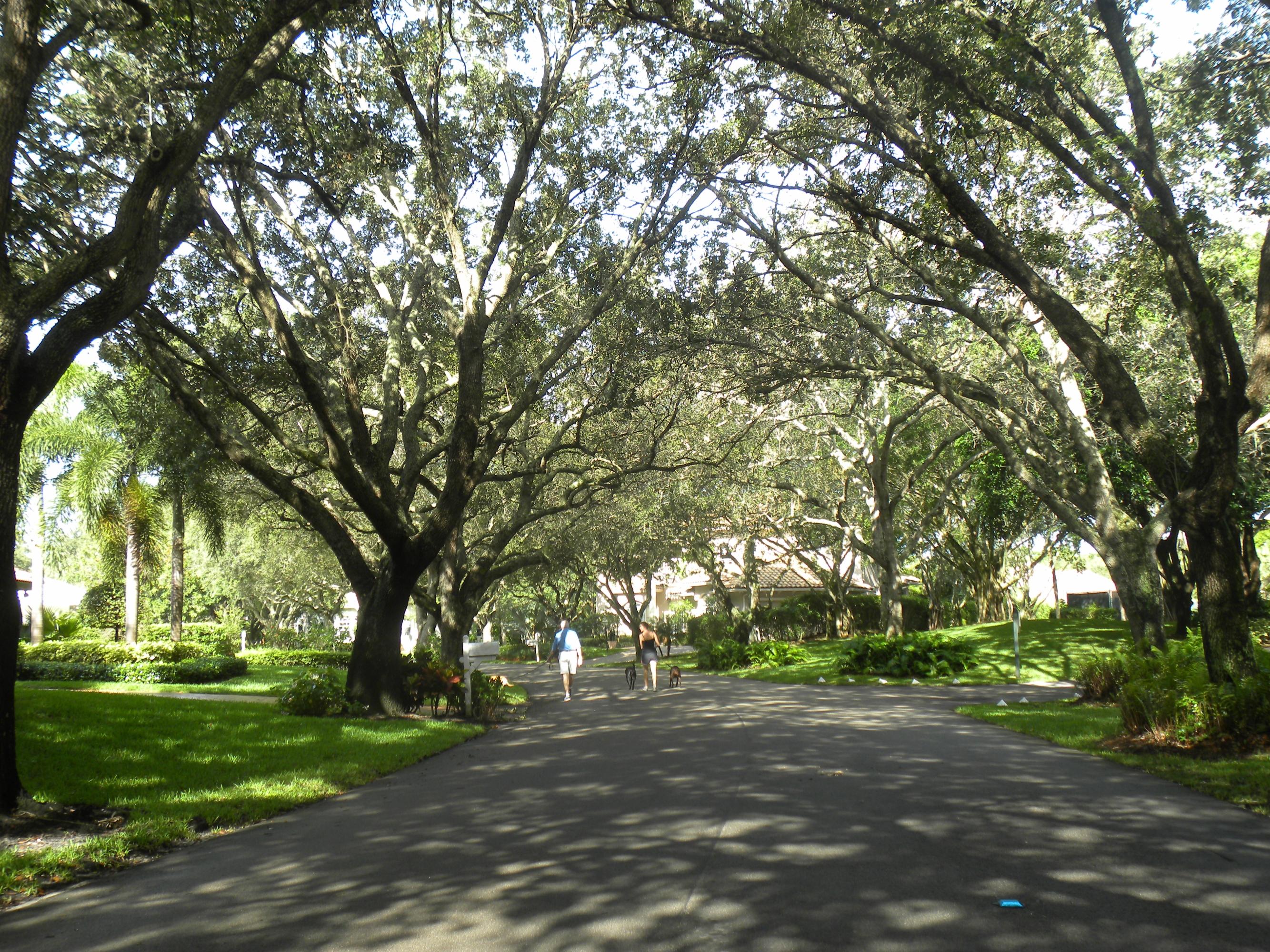 18372 Southeast Heritage Drive Tequesta, FL 33469 - Photo 43 of 47 Main Rd on Heritage oaks