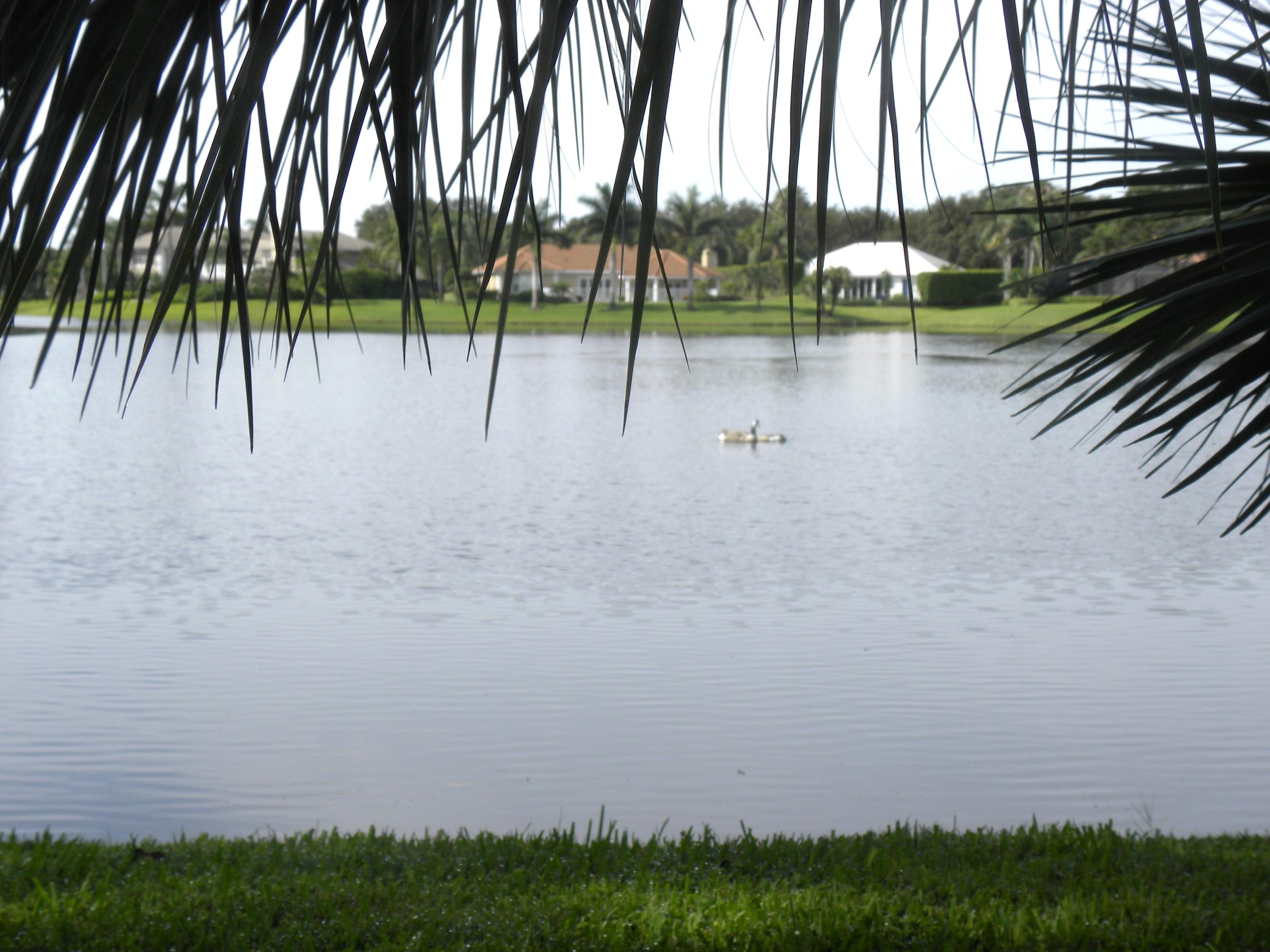 18372 Southeast Heritage Drive Tequesta, FL 33469 - Photo 44 of 47 Filled with many lakes