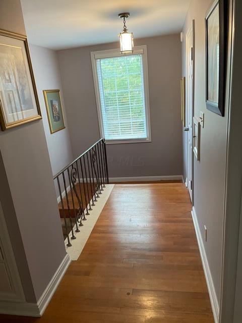 78 South Harding Road Columbus, OH 43209 - Photo 20 of 34 IMG_1964 (1)