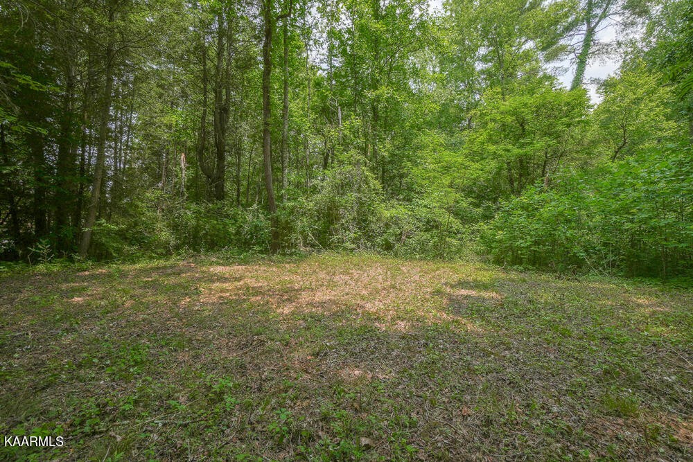 0 Bethel Church Road Townsend, TN 37882 - Photo 11 of 20 Gallery Image 11