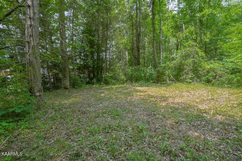 0 Bethel Church Road Townsend, TN 37882 - Photo 12 of 20 Gallery Image 12