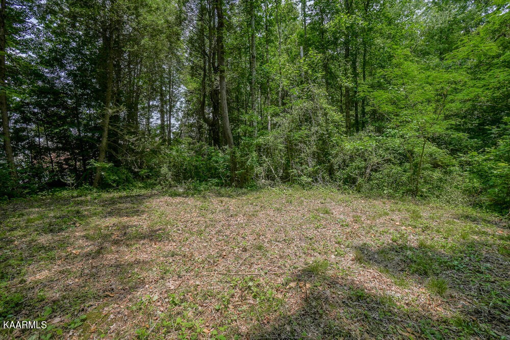 0 Bethel Church Road Townsend, TN 37882 - Photo 13 of 20 Gallery Image 13