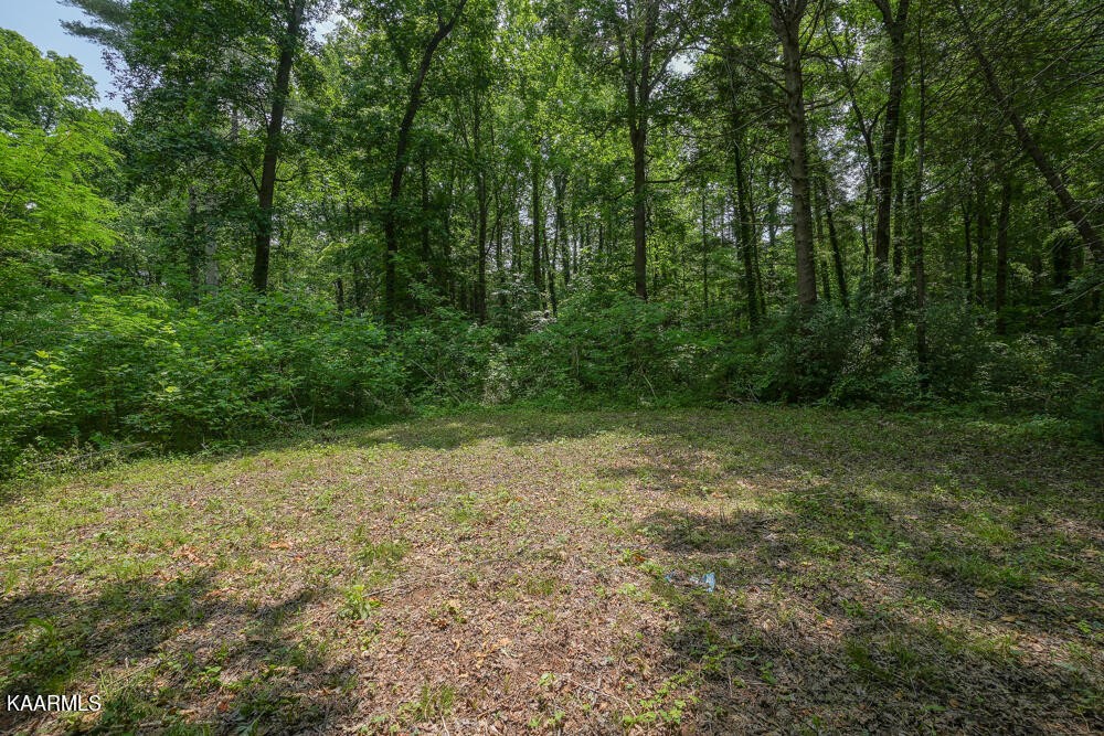 0 Bethel Church Road Townsend, TN 37882 - Photo 14 of 20 Gallery Image 14