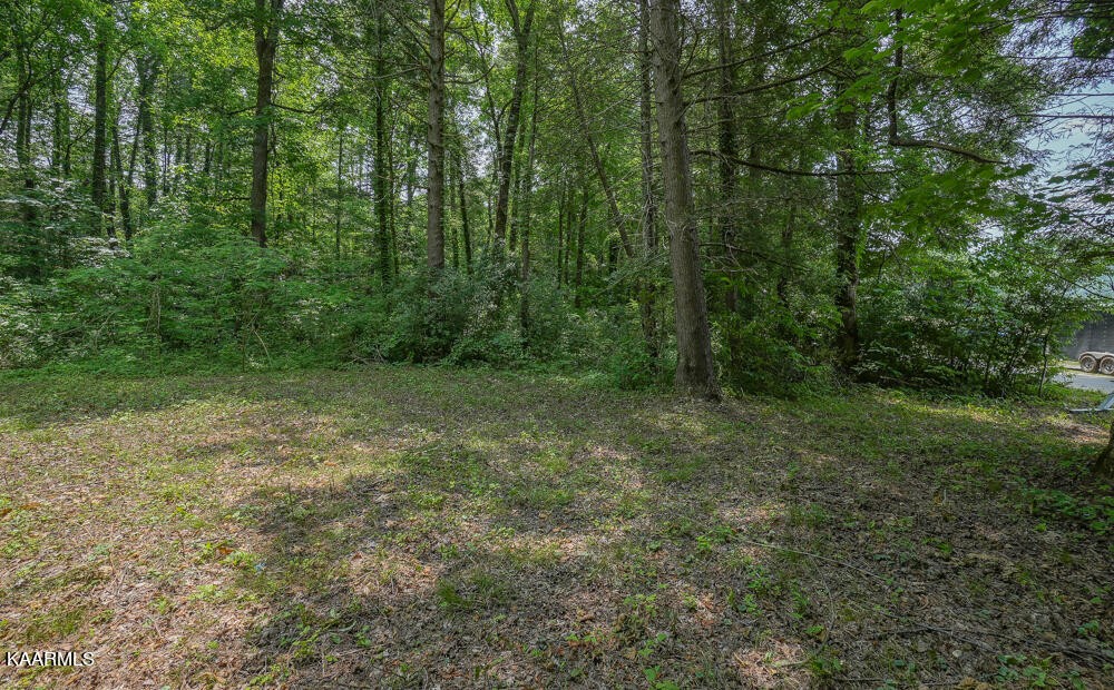 0 Bethel Church Road Townsend, TN 37882 - Photo 15 of 20 Gallery Image 15
