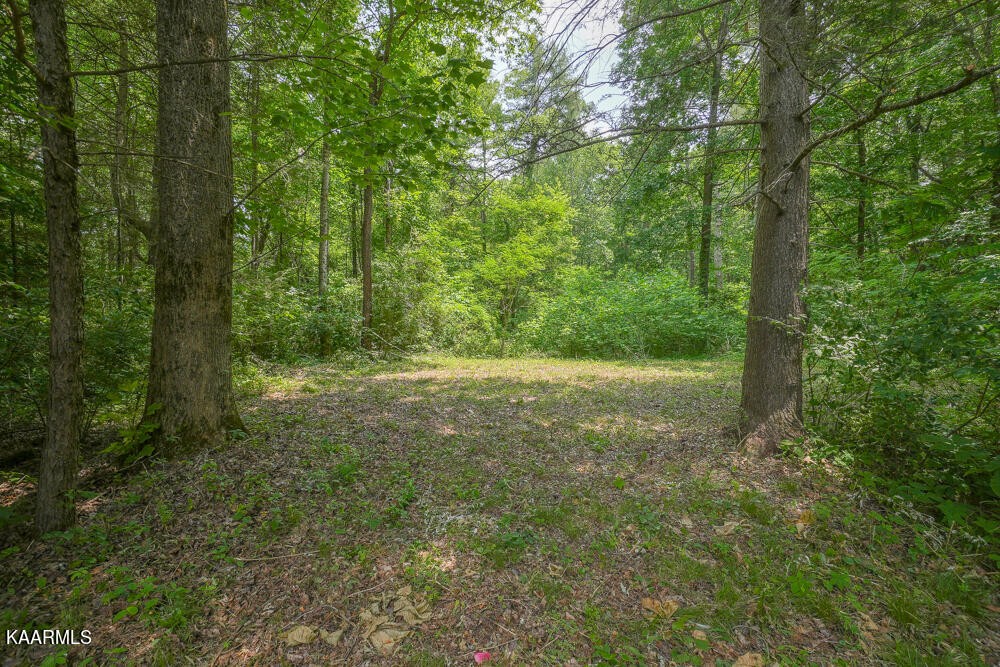 0 Bethel Church Road Townsend, TN 37882 - Photo 8 of 20 Gallery Image 8