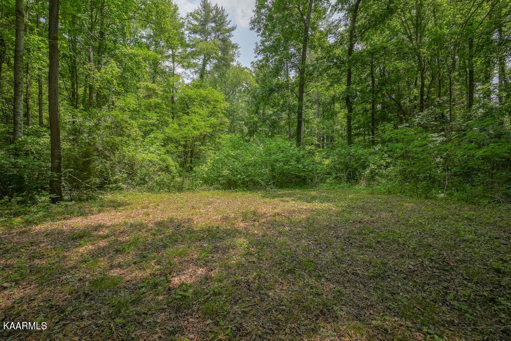 0 Bethel Church Road Townsend, TN 37882 - Photo 10 of 20 Gallery Image 10