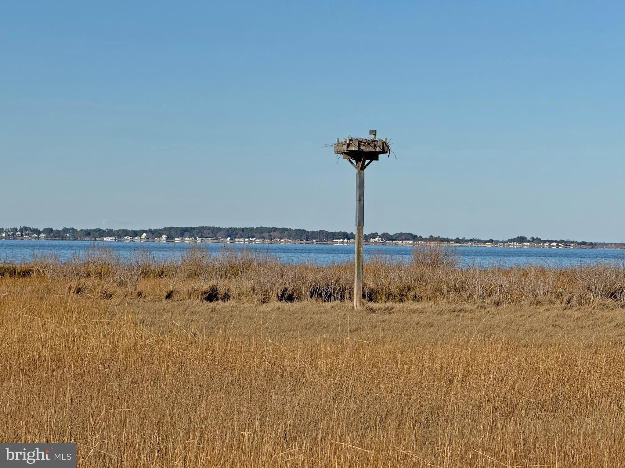38306 Squirrel Road, Unit 217 Ocean View, DE 19970 - Photo 27 of 28 a view of water heater room