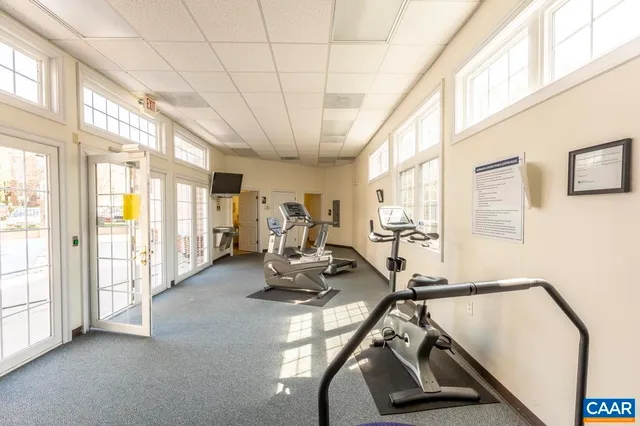 a view of a yard with plants