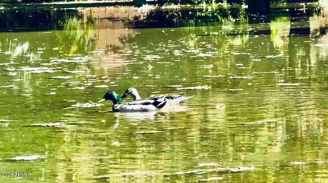 $895,000 | 5116 West La Mirada Drive, Laveen, AZ 85339