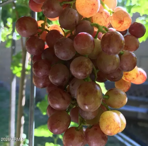 $895,000 | 5116 West La Mirada Drive, Laveen, AZ 85339