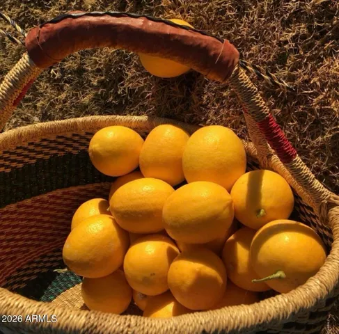 $895,000 | 5116 West La Mirada Drive, Laveen, AZ 85339