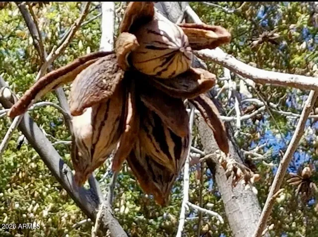 $895,000 | 5116 West La Mirada Drive, Laveen, AZ 85339