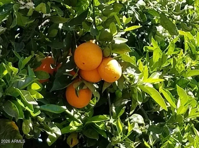 $895,000 | 5116 West La Mirada Drive, Laveen, AZ 85339